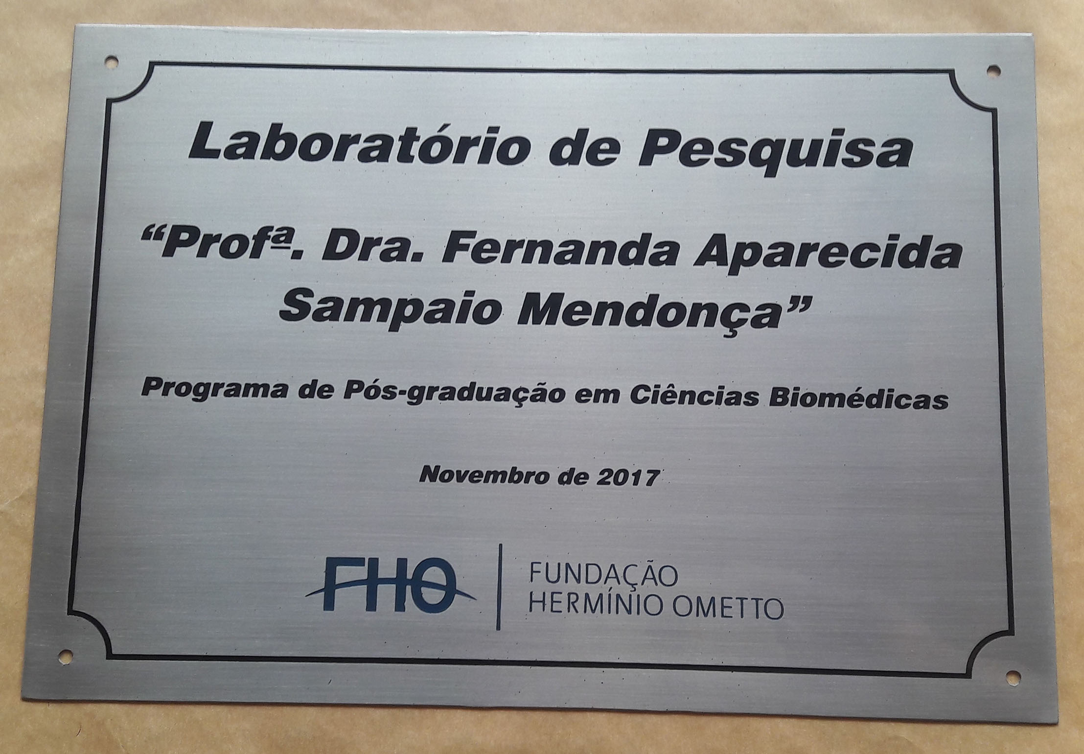 Placa de A�o Inox