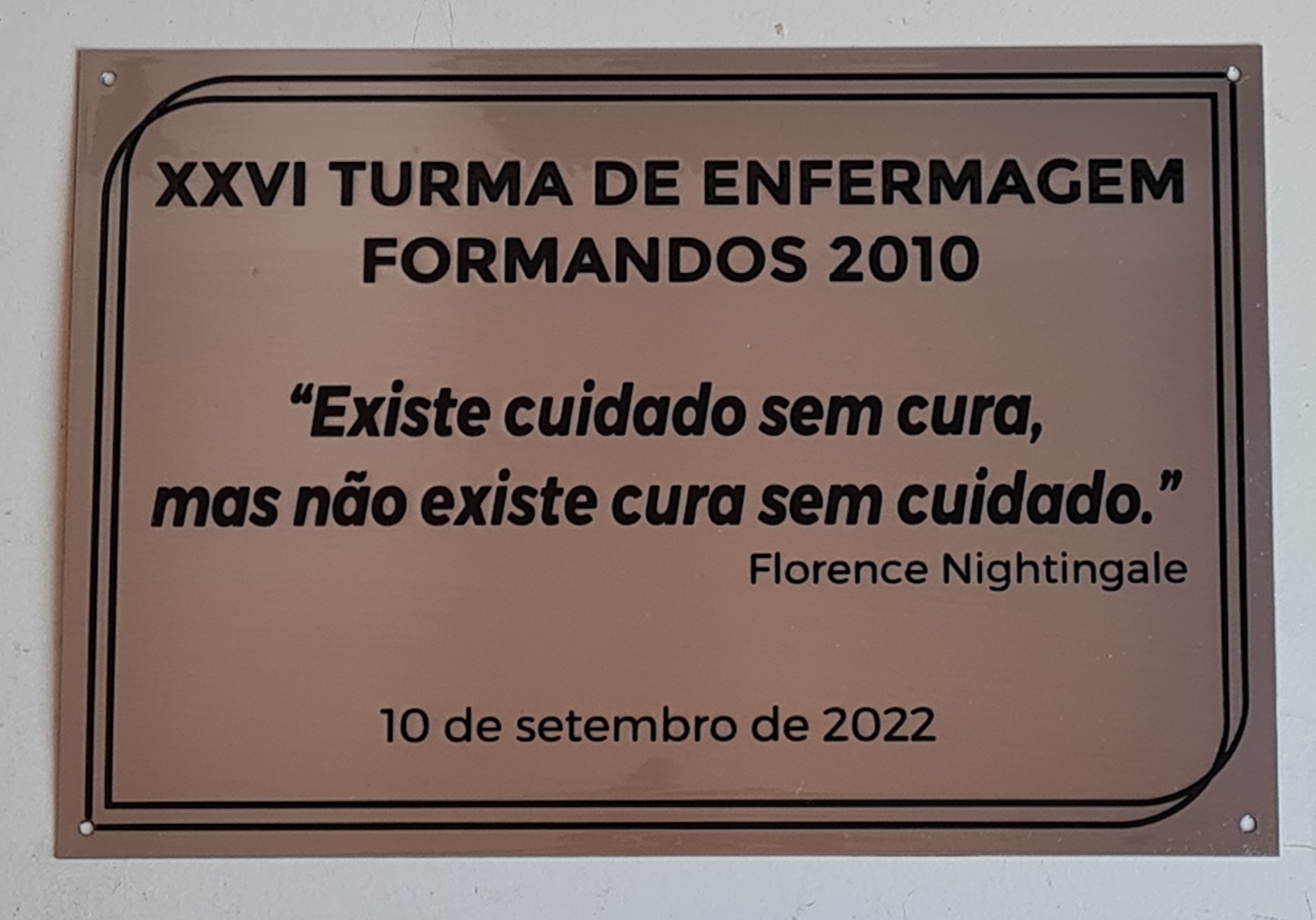Placa de A�o Inox