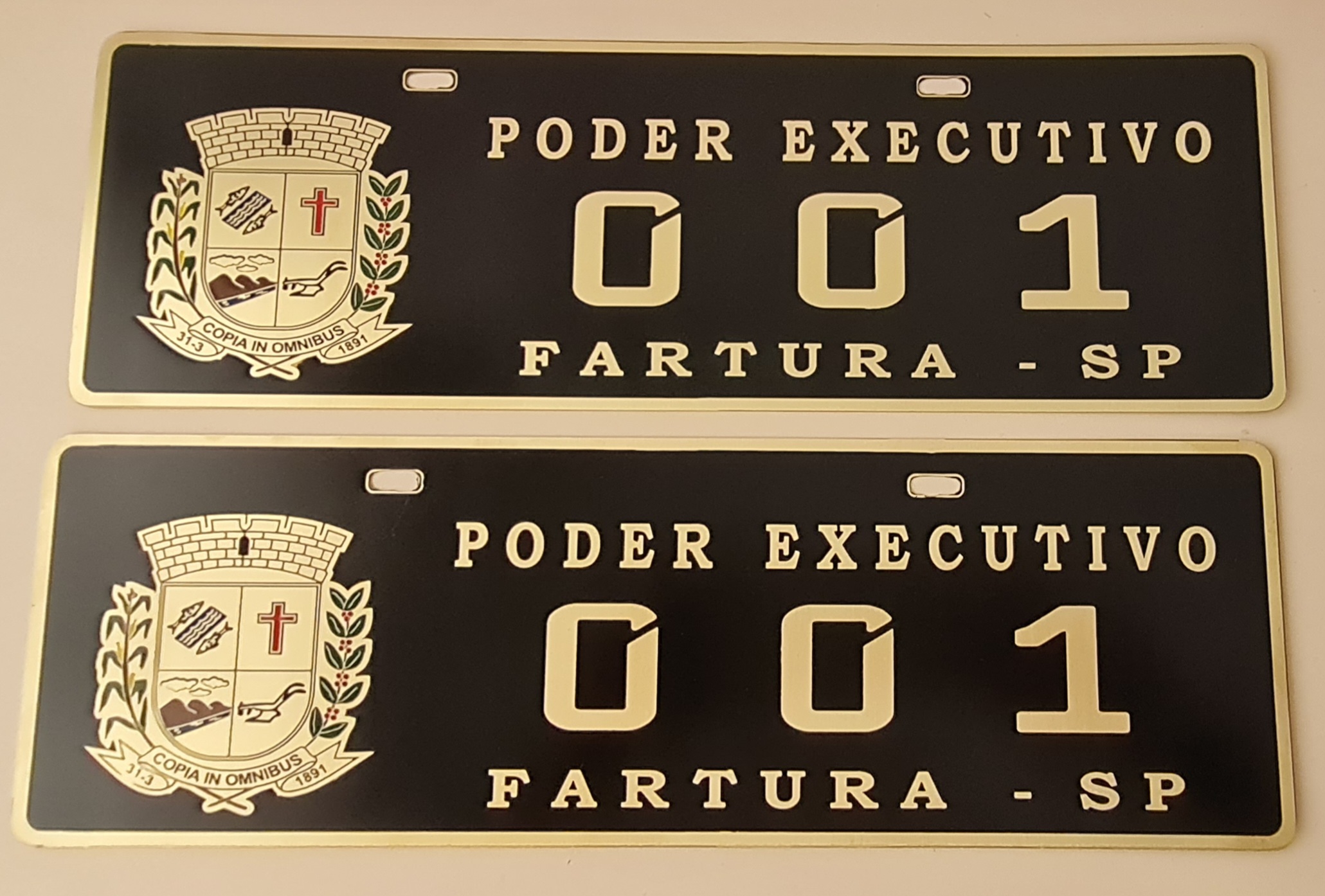 Placa de Carro em Bronze Fundido
