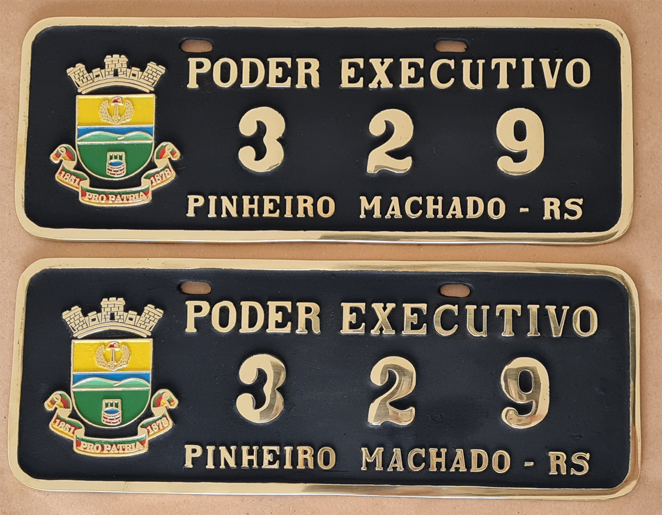 Placa de Carro em Bronze Fundido