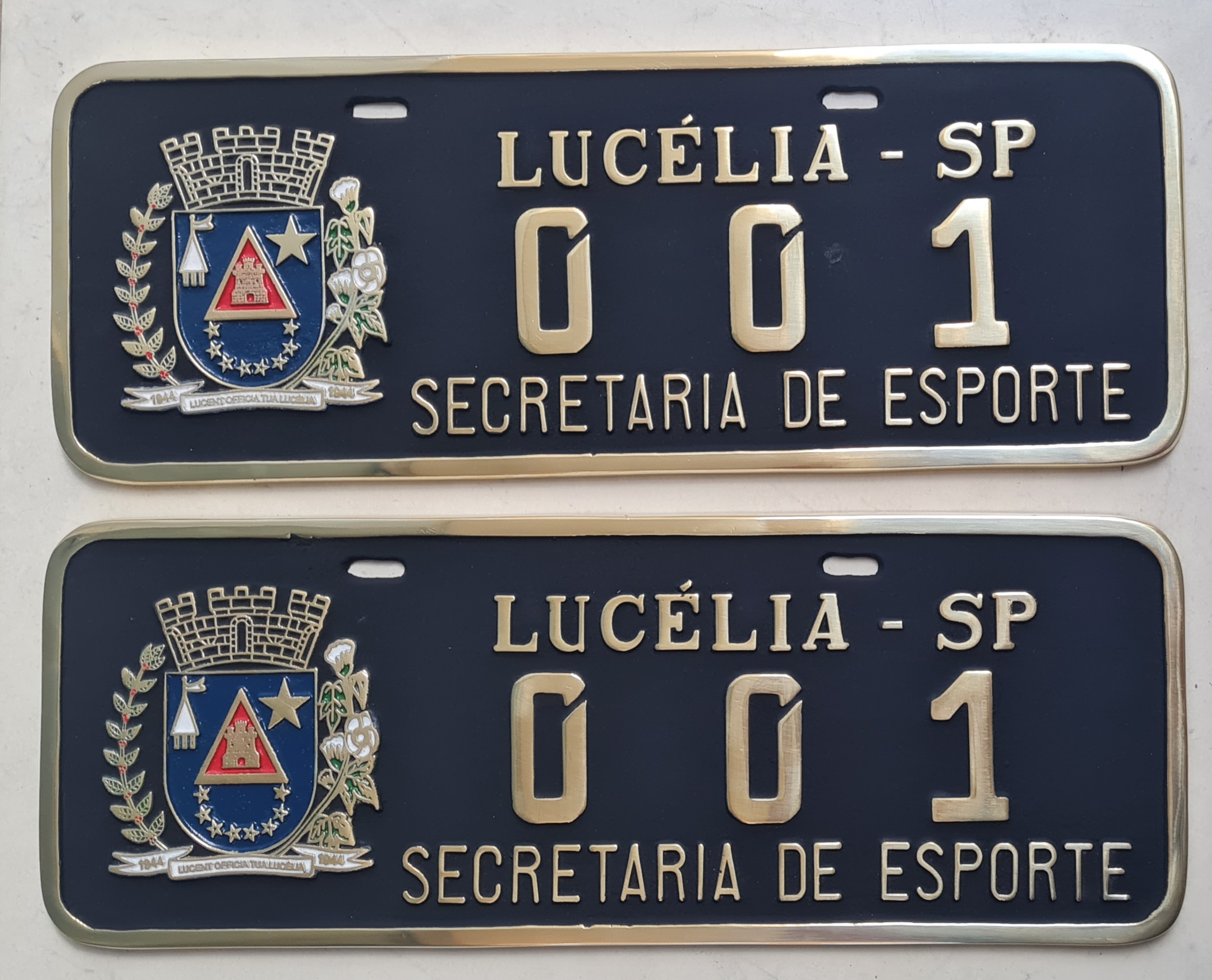 PLACA DE CARRO EM BRONZE FUNDIDO