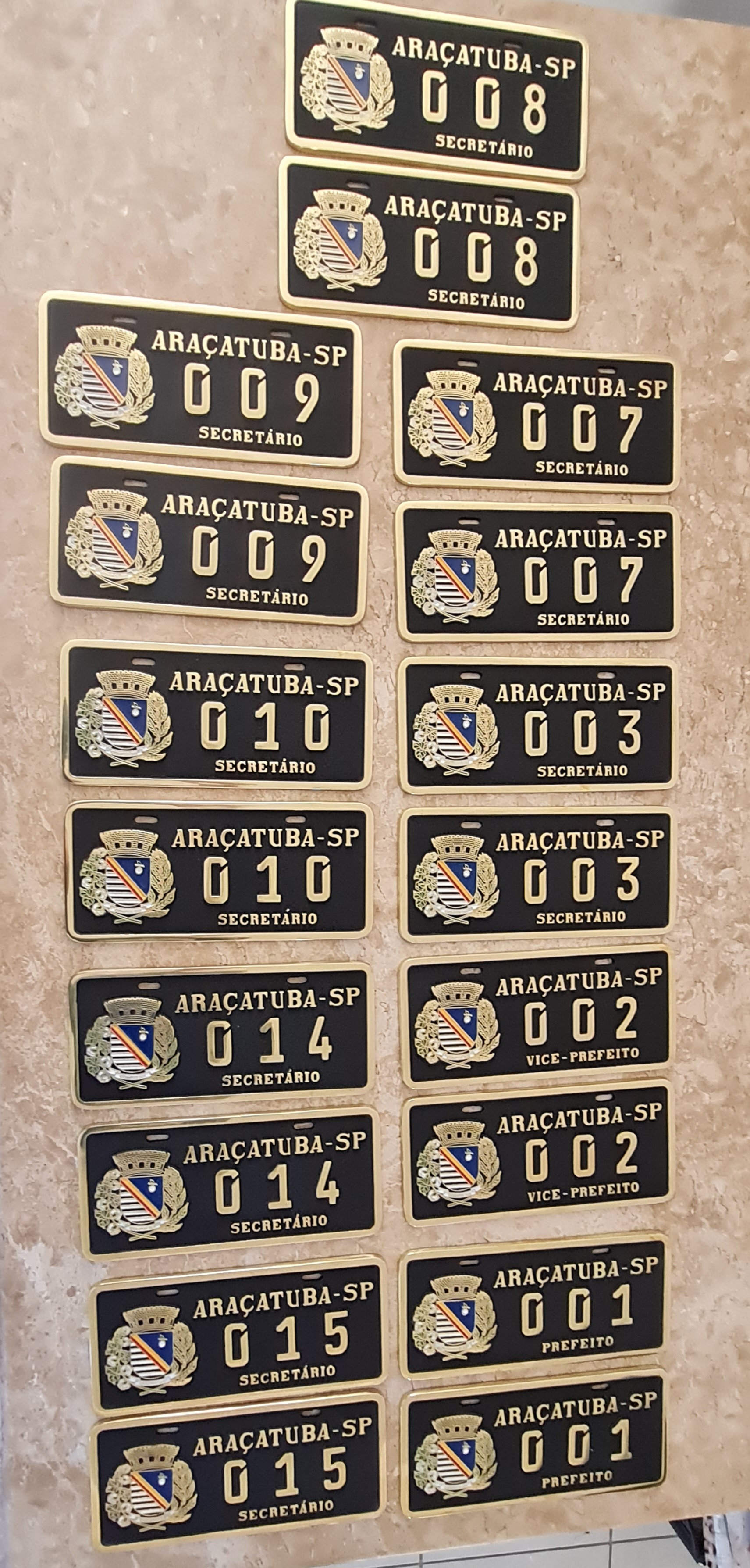 Placa de Carro em Bronze Fundido
