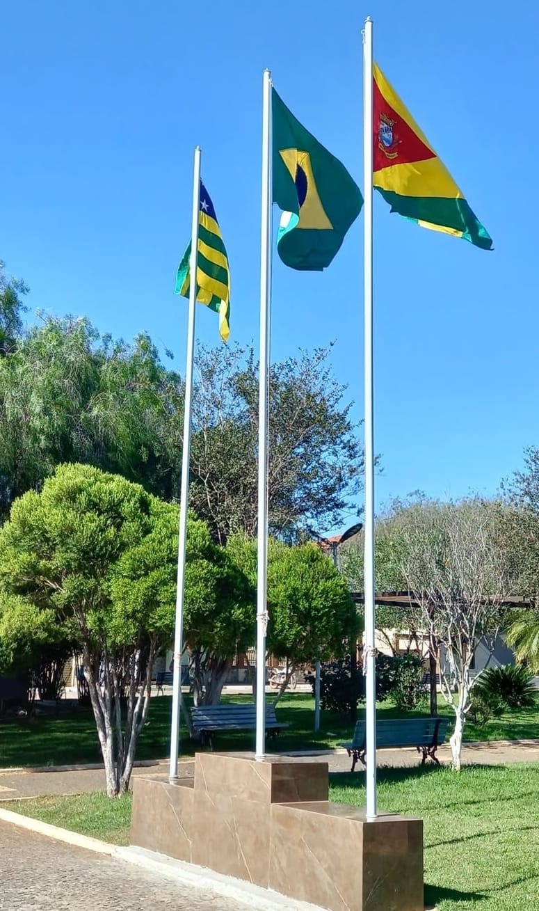 Bandeira Diversa