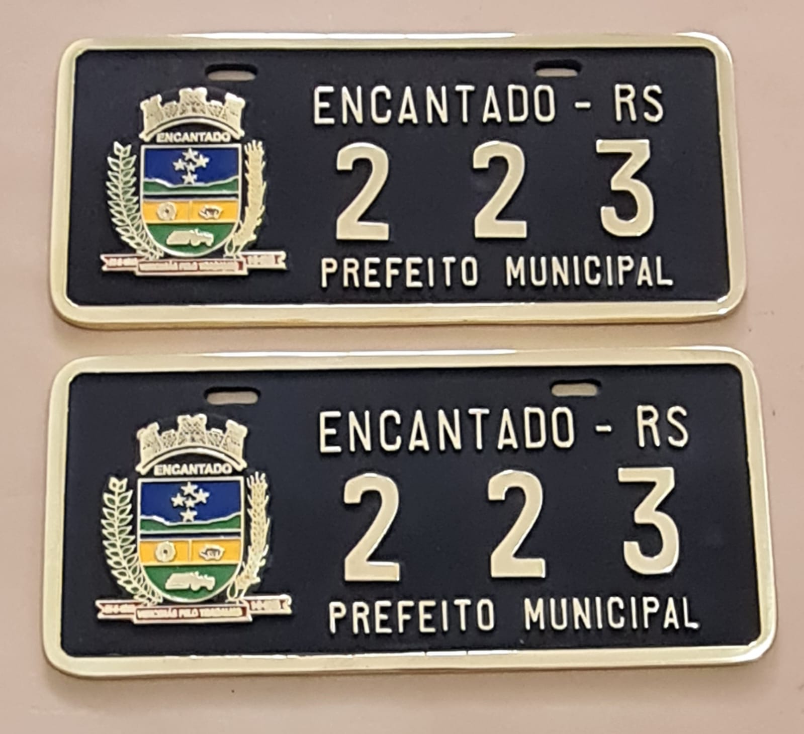 Placa de Carro em Bronze Fundido