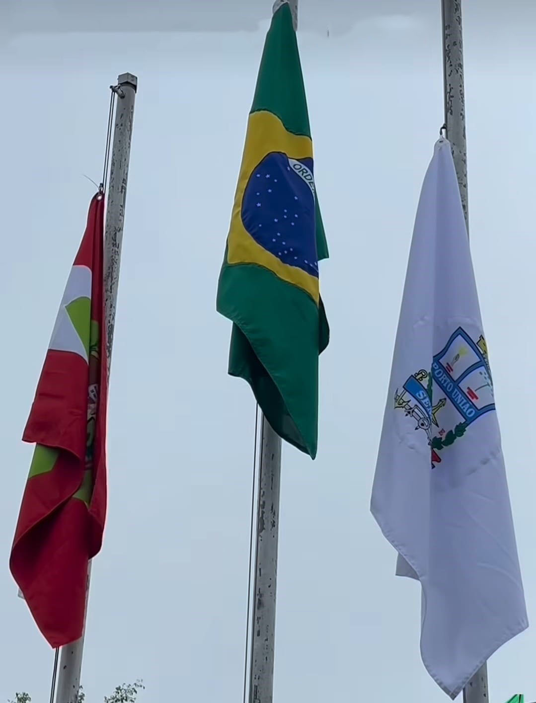 Bandeira Diversa