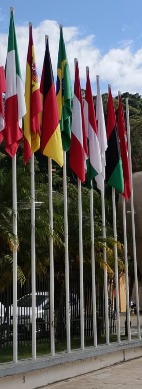 Bandeira Diversa