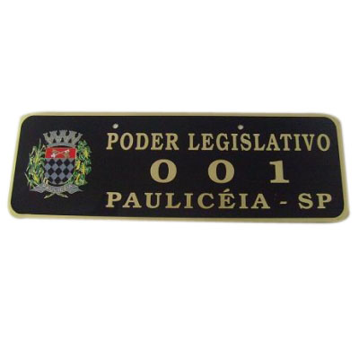 PLACA OFICIAL DE CARRO EM LATO